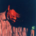 Steve Nelson 790 35